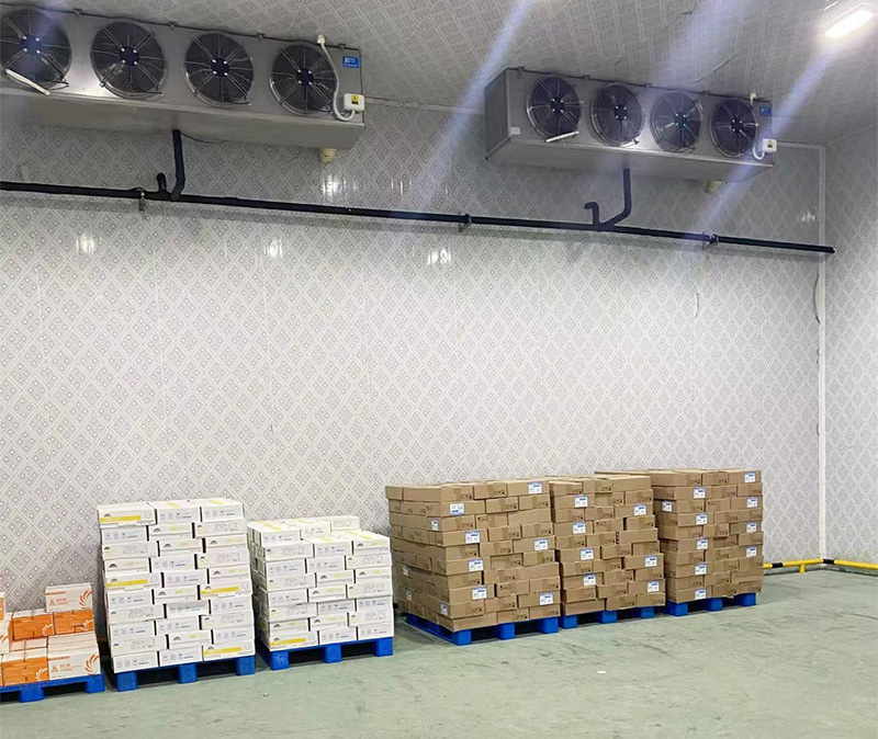 恩施湖北亞米食品1000立方凍庫改造