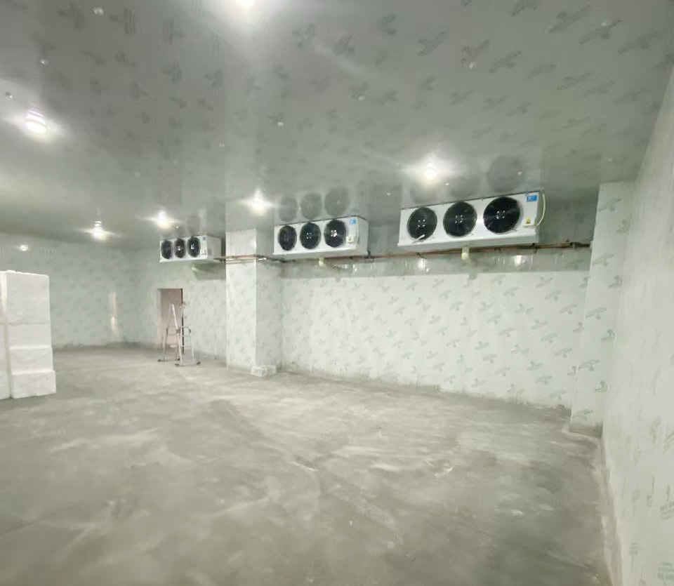 十堰普拉拉食品500立方-25度冰淇淋